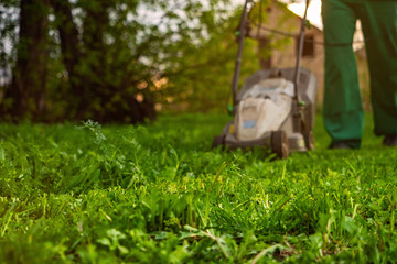 Lawn mower cutting green grass in backyard