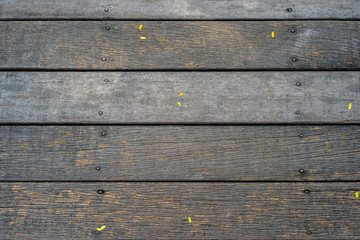 Fototapeta premium wood texture with natural patterns background