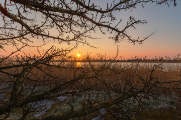 beautiful landscapes of nature with forest and lak