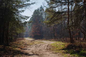 beautiful landscapes of nature with forest and lak