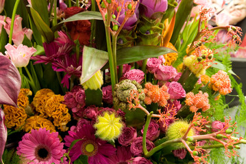 Roses, gerberas, cactus and other exotic flowers in bouquete