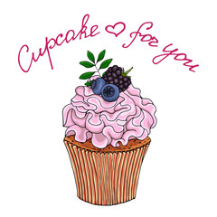 Illustration of a cupcake decorate with pink cream and blueberries, blackberry, isolated on a white background.