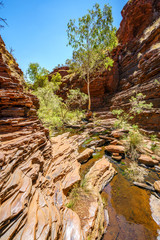 hiking down in hancock gorge in karijini national park, western australia 43