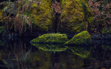 The small brook flowing between mossy stones. Germany Saxony.