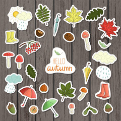 Vector set of colored autumn stickers on shabby wood background. Fall illustration of isolated leaves, umbrella, rain, mushroom, rubber boots, nut, acorn, cloud. Cartoon style