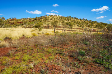 hiking to joffre gorge lookout in karijini national park, western australia 4