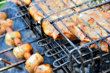 Mushrooms are grilled at a picnic.