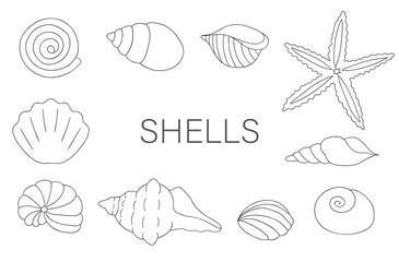 Vector black and white set of sea shells isolated on white background. Monochrome marine collection. Underwater illustration