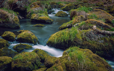 The small brook flowing between mossy stones. Germany Saxony.