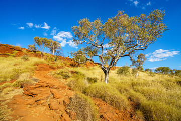 hiking to joffre gorge lookout in karijini national park, western australia 23 © Christian B.