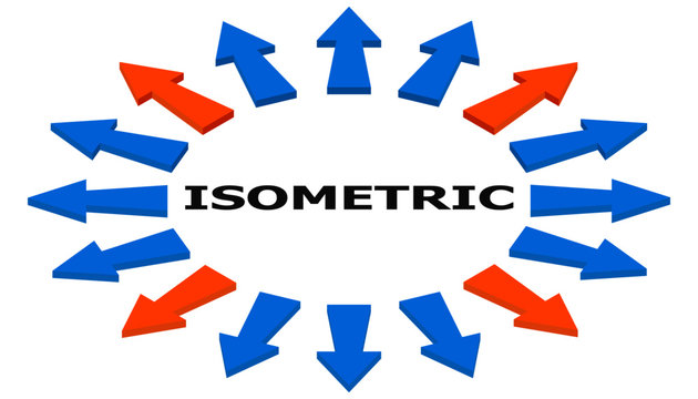 Set of arrows in isometry. 16 arrows indicate different directions.