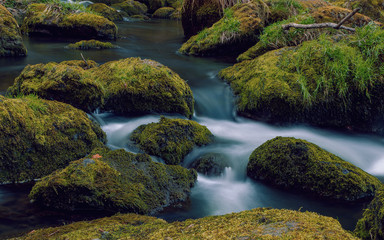 The small brook flowing between mossy stones. Germany Saxony.