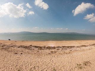 beautiful landscape. Aerial view of beach and coast of Irish Sea in Holywood, Northern Ireland. Horizon over water against blue sky 