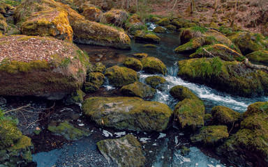 The small brook цшер еру mossy stones. Germany Saxony