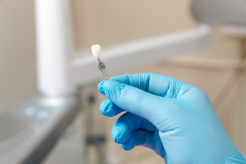 Dentist in blue gloves showing pallete of tooth color