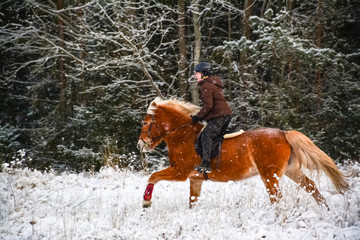 Woman horseback riding