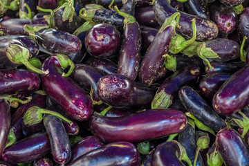 Close-up of several purple eggplants