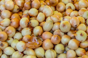 Full Frame Onions on local Market
