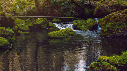 The small brook flowing between mossy stones. Germany Saxony.