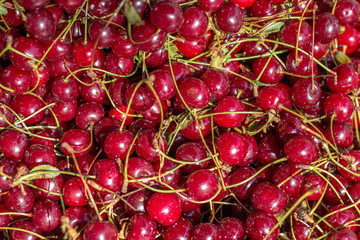 Full Frame cherry on Market