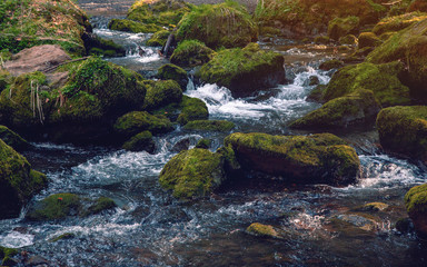 The small brook flowing between mossy stones. Germany Saxony.