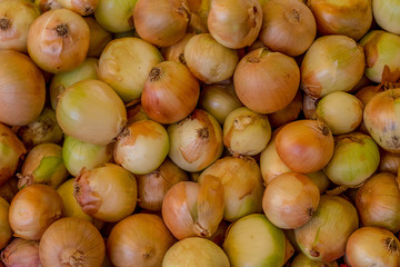 Full Frame Onions on local Market