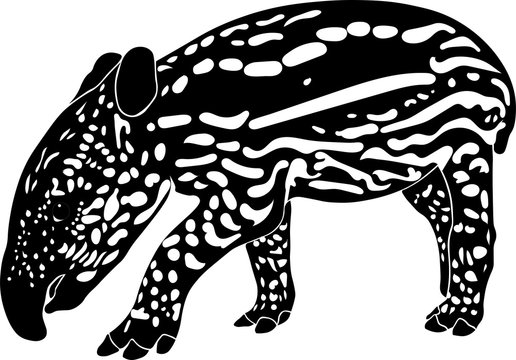 Baby tapir