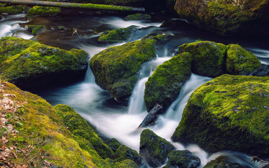 The small brook flowing between mossy stones. Germany Saxony.