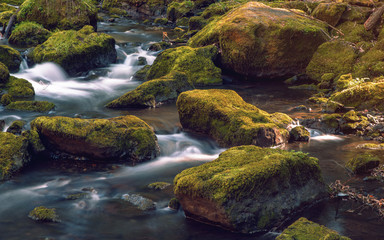 The small brook flowing between mossy stones. Germany Saxony.
