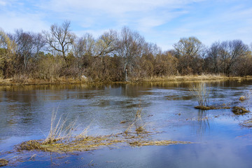 river in spring during spill