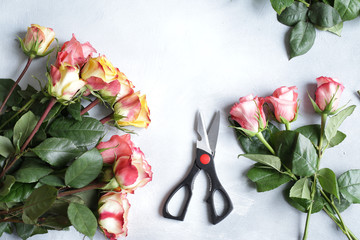 Multicolored roses and scissors on the table florist