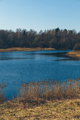 park in the suburbs of St. Petersburg in the spring