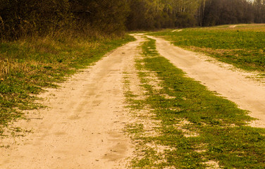 Obraz premium Charleston SC Dirt Road Forest Botany Bay Plantation Spanish Moss Edisto Island Deep South Live Oak Trees