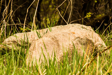 Green moss with decorative rock isolated on white background