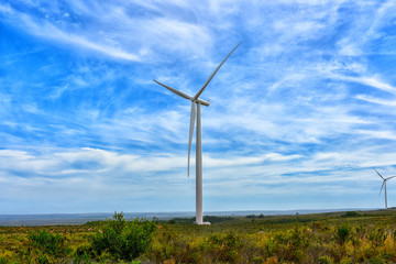 Wind turbine in the field
