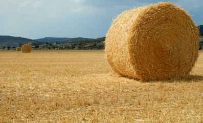 Golden field with straw bales. Catalonia.