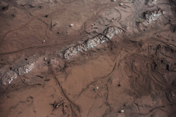 Textured background of mud.