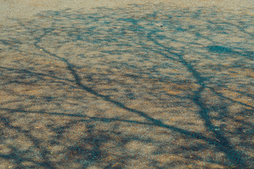 The shadow of the tree branches that ืno leaves in the summer of Thailand on the road floor at the parking car.