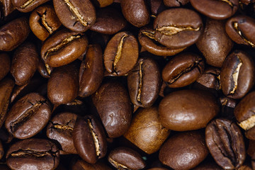 roasted coffee beans closeup