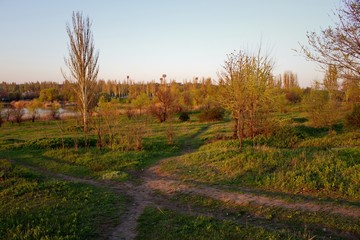 Пейзаж. Кривой Рог. Украина. 