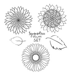 Floral symmetric summer flowers set. Hand drawn gerbera, sunflower, Outline Vector illustration on white background. Collection for pattern,template,banner, posters, invitation, greeting card design.