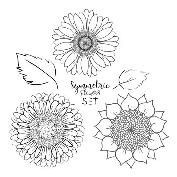 Floral symmetric summer flowers set. Hand drawn Doodle flower. Outline Vector illustration on white background. Collection for pattern, template, banner, posters, invitation and greeting card design.