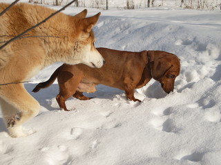 looking for something