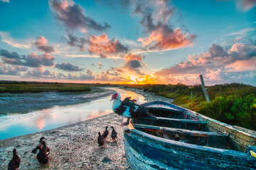 Dramatic sunset with boats and ducks in the natural park Salinas de Carboneros, in Chiclana de la...
