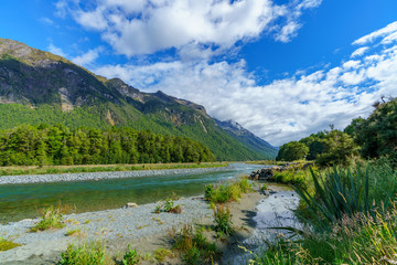meadow with lupins on a river between mountains, new zealand 17