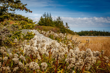 Coastal shoreline seascapes of Nova Scotia.