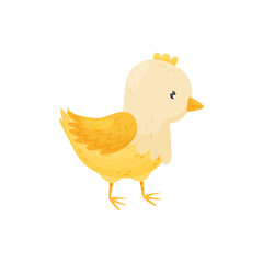 Baby Chick on a white background. Vector illustration.