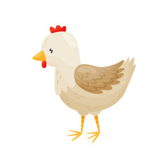 Vector Illustration of cute cartoon hen isolated on white background.