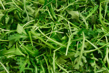 Fresh leaves of arugula as background.