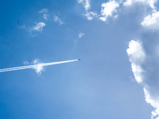 flight